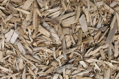 biomass boilers Glasbury